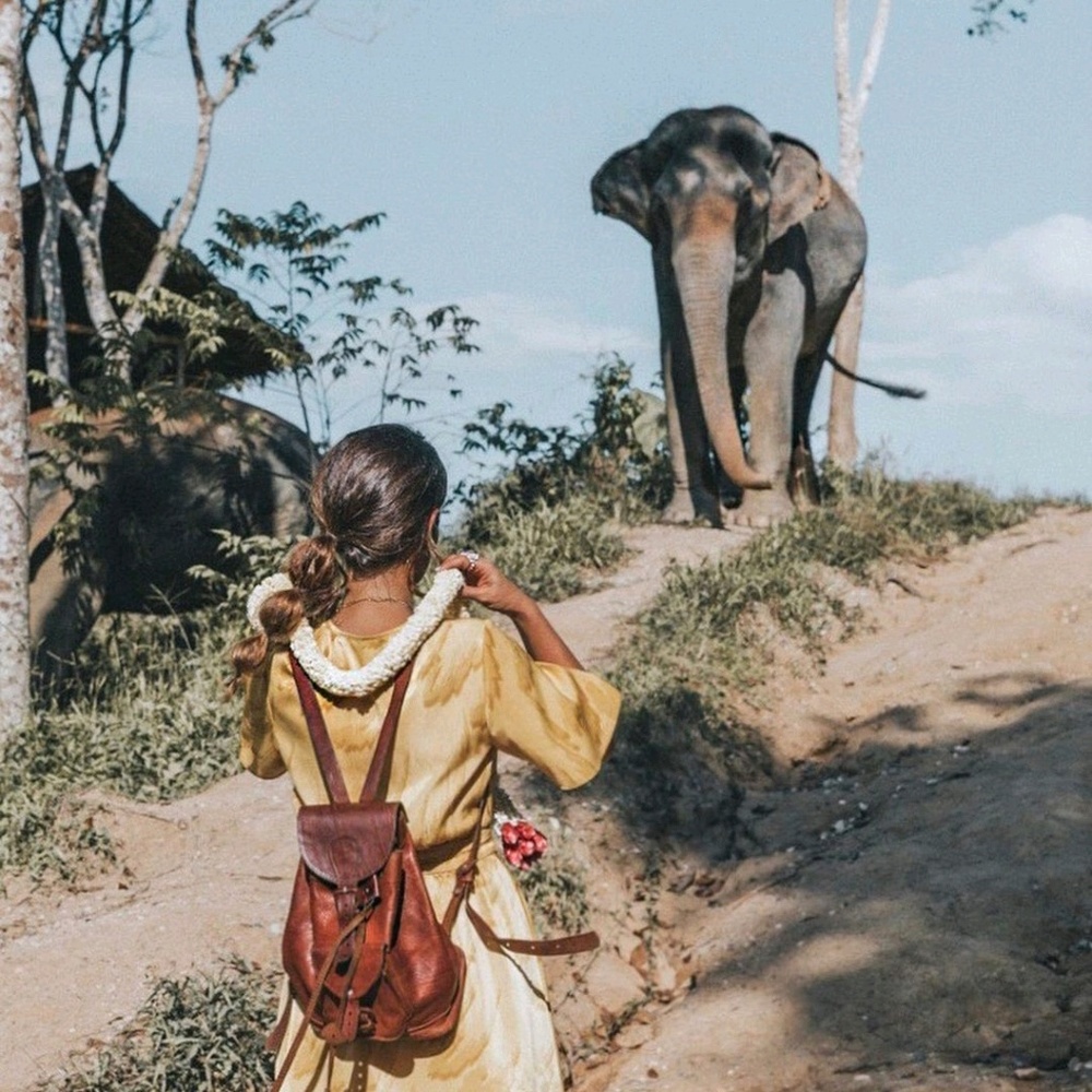 Meet your Posher, Roxanne